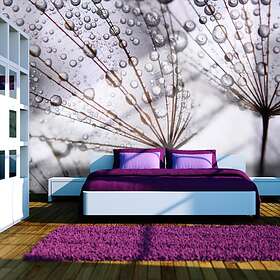 Arkiio Fototapet Maskros Och Morgondagg och morgondagg 200x154