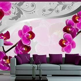 Arkiio Fototapet Solace 100x70