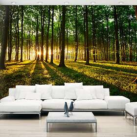 Arkiio Fototapet Självhäftande Mystical Morning fototapet 196x140