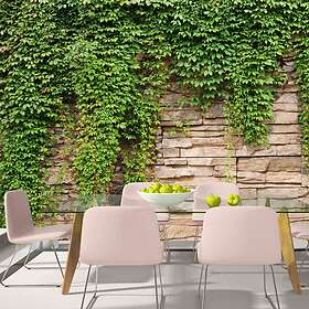 Arkiio Fototapet Ivy Wall wall 100x70