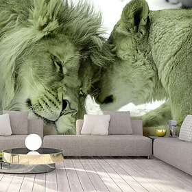 Arkiio Fototapet Lion Tenderness Grön (Green) 400x280