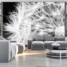 Arkiio Fototapet Black And White Dandelion and white dandelion 150x105