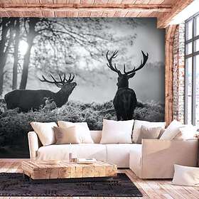 Arkiio Fototapet Deers In The Morning in the 300x210