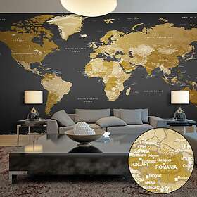 Arkiio Fototapet Självhäftande World Map Modern Geography II 490x280 f