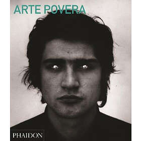 Arte Povera (Abridged Edition)