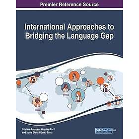 International Approaches to Bridging the Language Gap
