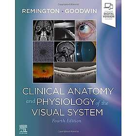 Clinical Anatomy and Physiology of the Visual System