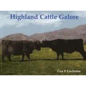 Highland Cattle Galore