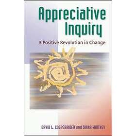 Appreciative Inquiry: A Positive Revolution in Change