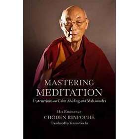 Mastering Meditation