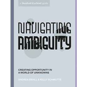 Navigating Ambiguity