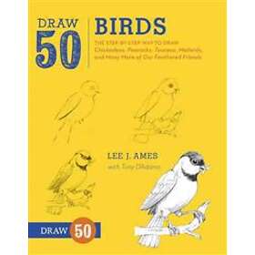 Draw 50 Birds