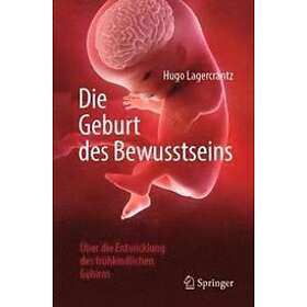 Die Geburt Des Bewusstseins