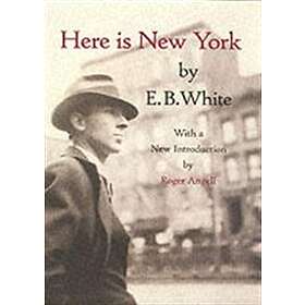 Here Is New York