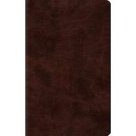 ESV Thinline Bible