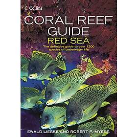 Coral Reef Guide Red Sea