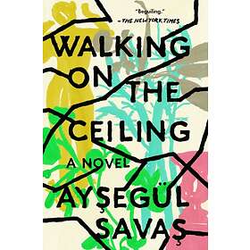 Walking On The Ceiling