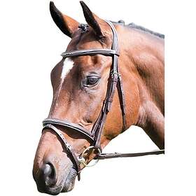 Avignon Padded Leather Bridle