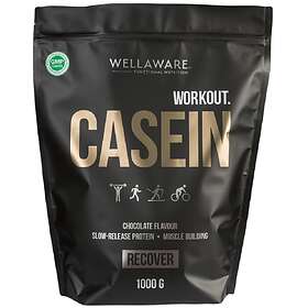 WellAware Workout Casein 1kg