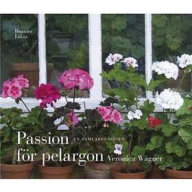 Passion för pelargon