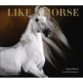 Like A Horse