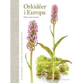 Orkidéer i Europa