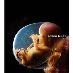 Ett barn blir till 5 e utgåvan