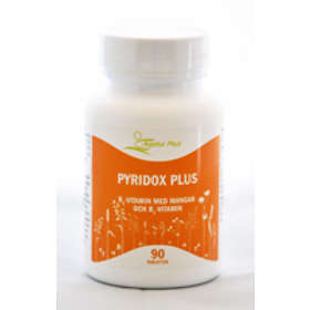 Alpha Plus B6-Vitamin PyridoxPlus 90 Tabletter