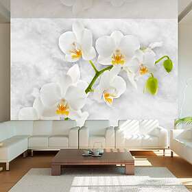 Arkiio Fototapet Lyrical Orchid White orchid 400x280