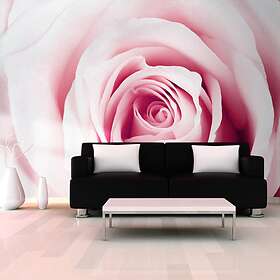 Arkiio Fototapet Rose Maze maze 400x280