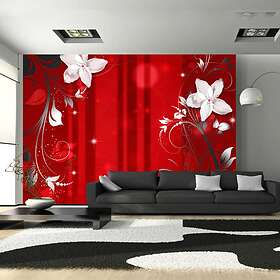 Arkiio Fototapet Flowering Scarlet scarlet 250x175