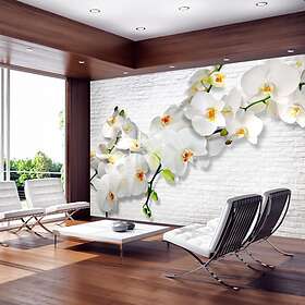 Arkiio Fototapet The Urban Orchid 250x175