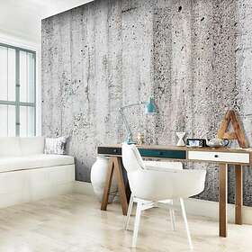Arkiio Fototapet Grey Emperor 400x280
