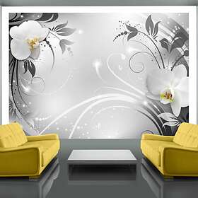 Arkiio Fototapet Orchids On Silver on silver 250x175