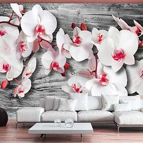 Arkiio Fototapet Callous Orchids orchids 200x140