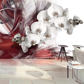 Arkiio Fototapet Orchid In Red in red 400x280