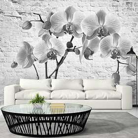 Arkiio Fototapet Orchid In Shades Of Gray in of 250x175