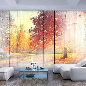 Arkiio Fototapet Autumn Sun 250x175