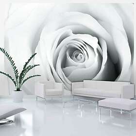 Arkiio Fototapet Rose Charade charade 400x280