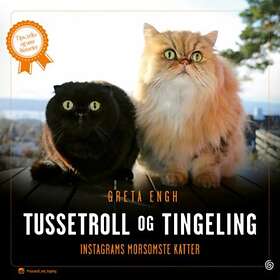 Kagge Tussetroll og Tingeling: Instagrams morsomste katter