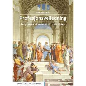 Cappelen Damm akademisk Profesjonsveiledning: fra praktisk virksomhet