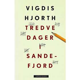 Cappelen Damm Tredve dager i Sandefjord: roman