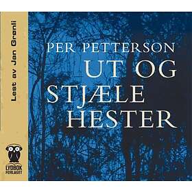 Lydbokforlaget Ut og stjæle hester