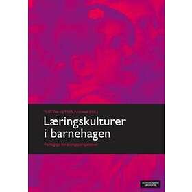 Cappelen Damm akademisk Læringskulturer i barnehagen: flerfaglige fors
