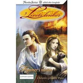 Cappelen Damm Flammer i natten