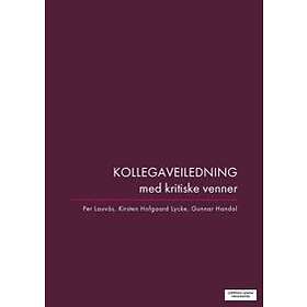 Cappelen Damm akademisk Kollegaveiledning med kritiske venner