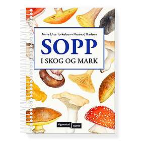 Vigmostad Bjørke Sopp: i skog og mark