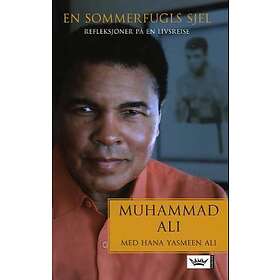 Damm En sommerfugls sjel: refleksjoner på en livsreise