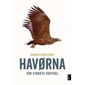Samlaget Havørna: vår største rovfugl