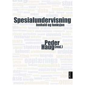 Samlaget Spesialundervisning: innhald og funksjon